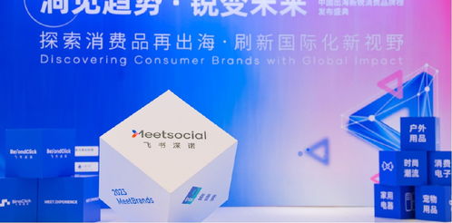 新品類、新渠道、新技術(shù) 飛書(shū)深諾沈晨崗談出海品牌如何借數(shù)字技術(shù)服務(wù)開(kāi)啟新故事